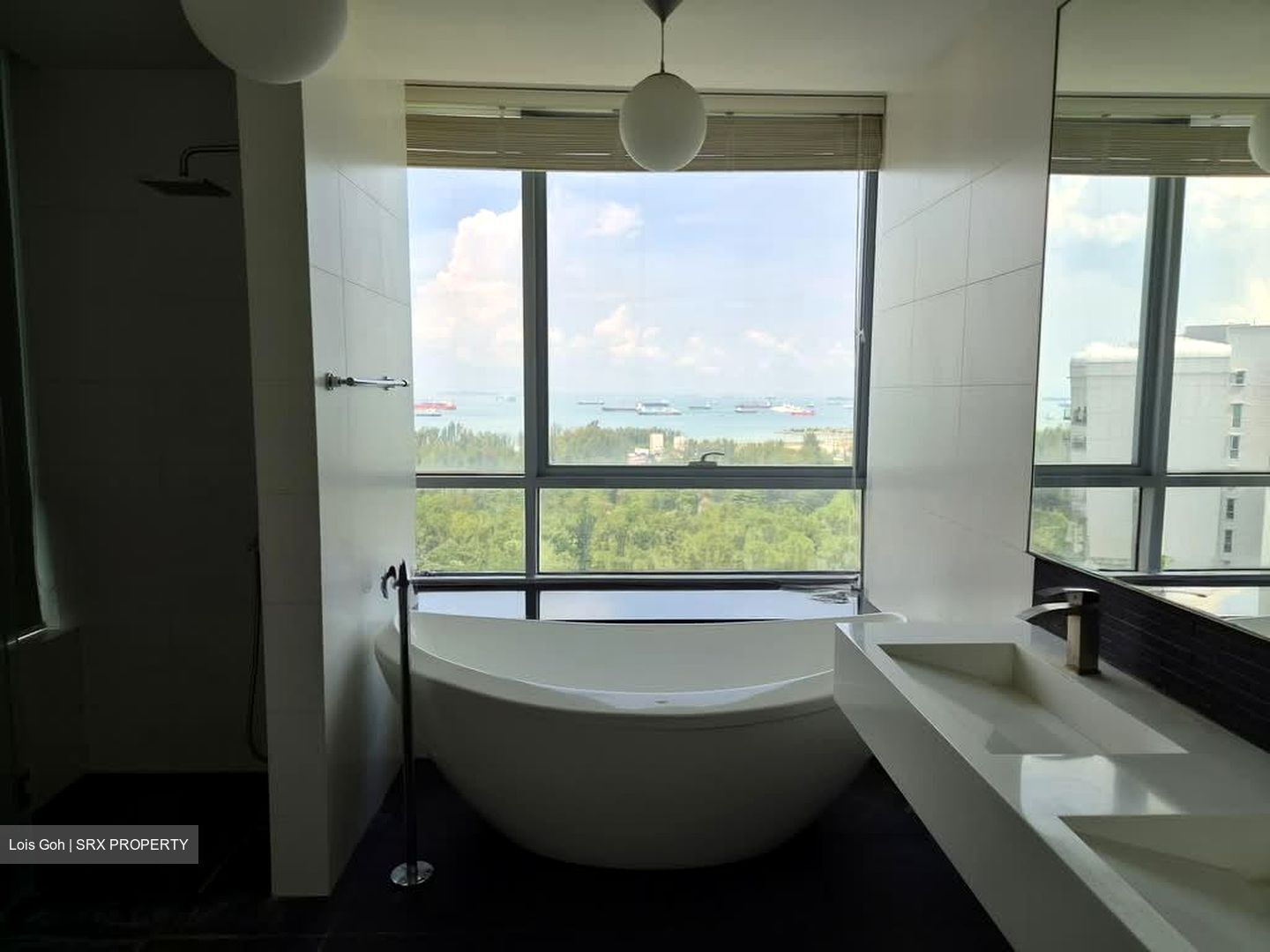 The View @ Meyer (D15), Apartment #573166471